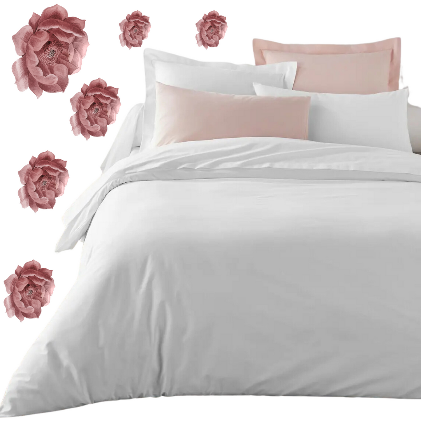 CopripiumEasy ALASKA