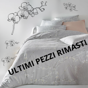 CopripiumEasy GIAPPONE