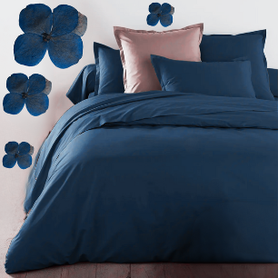 CopripiumEasy ITALIA